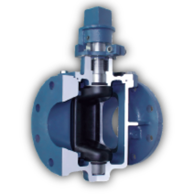 Cam-Centric Plug Valve