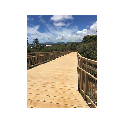 Dynaplank Boardwalk Plank