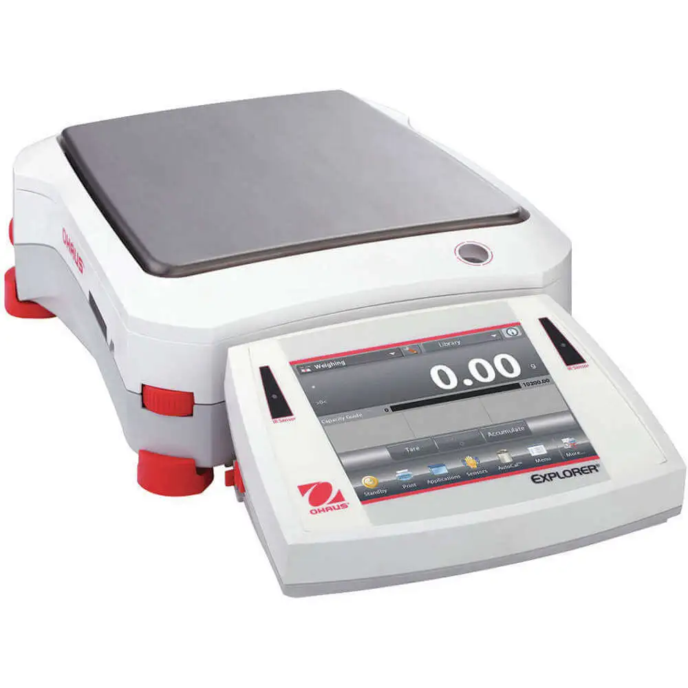Bench and Floor Scales