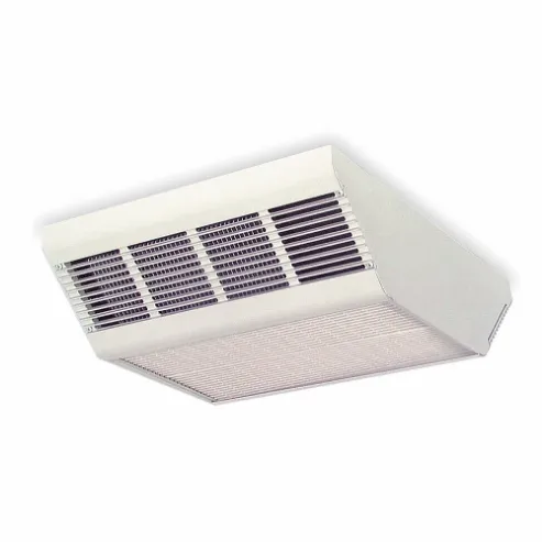 Electric Ceiling Heaters