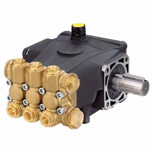 Plunger Pumps