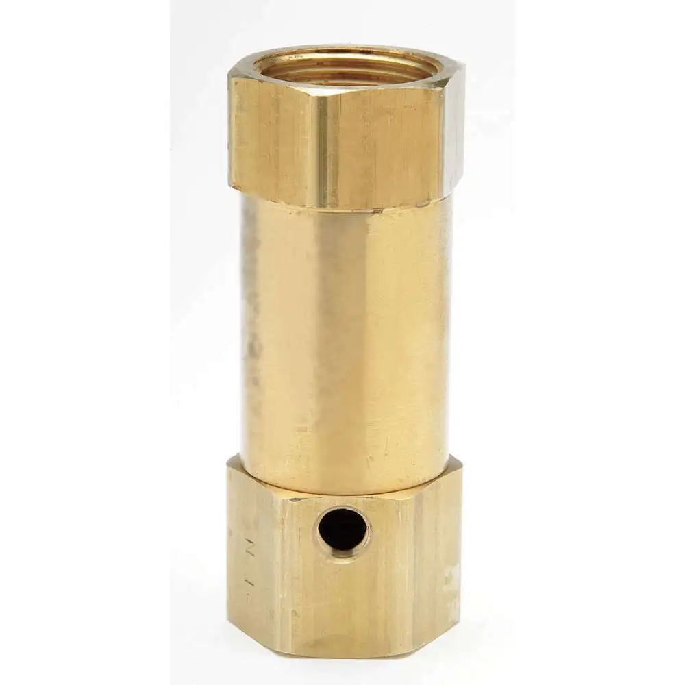 Pneumatic Check Valves