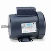 50 Hz Motors