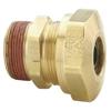 Brass Air Brake Connectors and Accessories