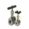 Gate and Globe Valves