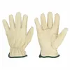 Leather Palm Gloves