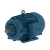 Metric Three Phase Motors