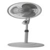 Pedestal Fans