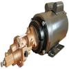 Rotary Gear Pumps