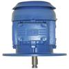 Vertical Pump Motors