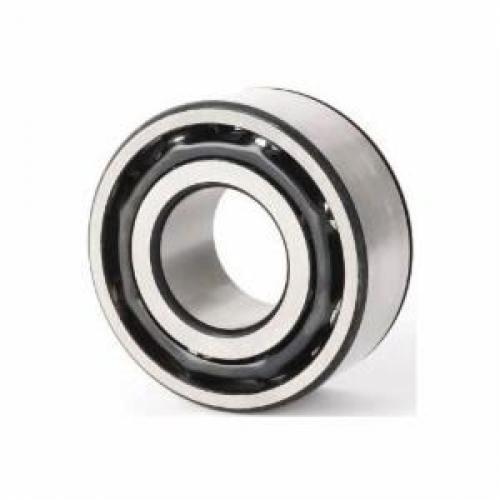 Angular Contact Bearings Raptor Supplies Australia